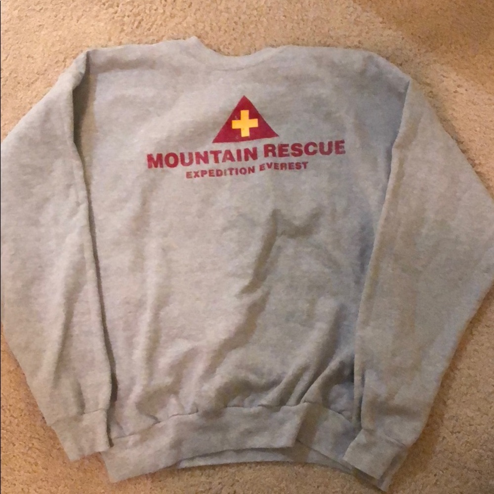 ⭐️ AUTHENTIC DISNEY PARKS SWEATSHIRT ⭐️